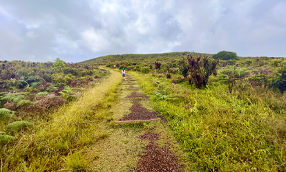 Caminho na parte alta.