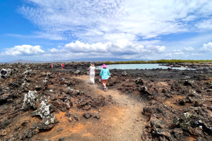 Paisagem de Las Tintoreras.