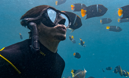 Uma pessoa praticando mergulho com snorkel rodeada por muitos peixes amarelos e laranjas.