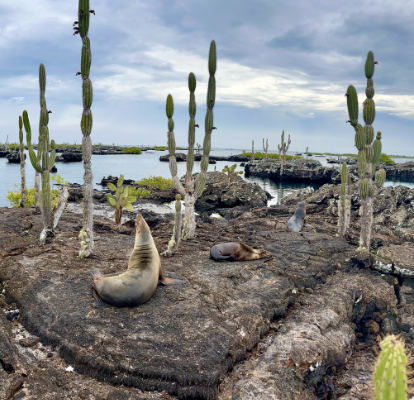 Los túneles ilha isabela Galapagos.