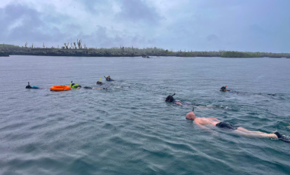 Snorkeling