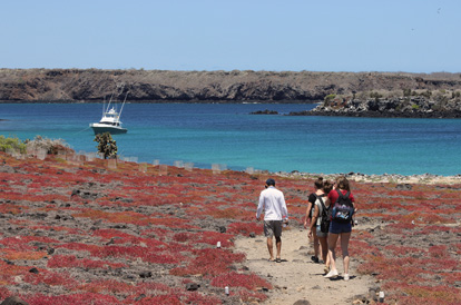 Pessoas caminhando na ilha Plaza Sur com vegetação laranja-avermelhada.