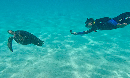 Ilha de Santa Fé, Galápagos.