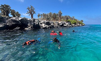 Mergulho com snorkel na Ilha de Santa Fé.