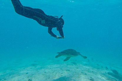 Mergulho com snorkel na Ilha de Santa Fé.