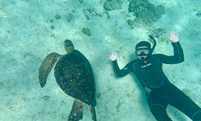 Pessoa mergulhando com snorkel em uma tartaruga marinha.