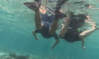 Turistas praticando mergulho com snorkel.